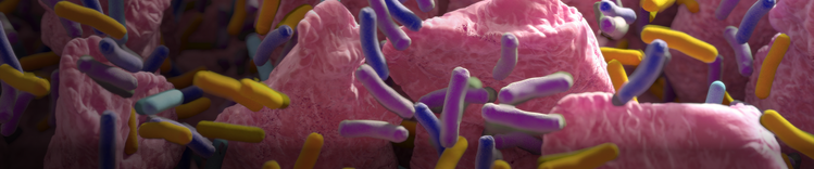 vilosidades intestinais com bactérias