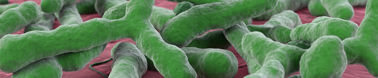 purina-institute-gut-brain-axis