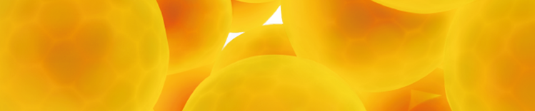 Pathologies liées au poids - bannière