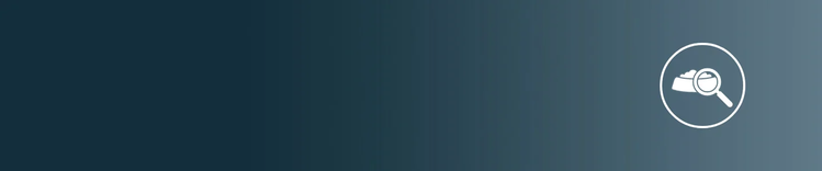 狗粮与放大镜的图标