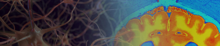 condizioni cerebrali del Purina Institute