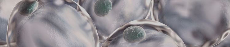 Gérer une bannière Poids santé