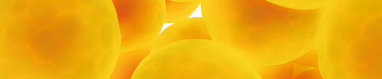 Condiciones relacionadas con el peso: banner