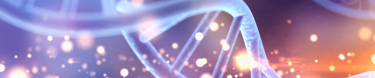 DNA バナー