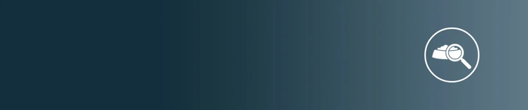 狗粮与放大镜的图标