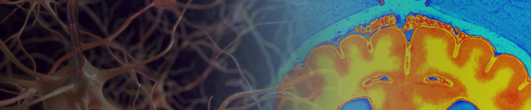 purina institute brain conditions