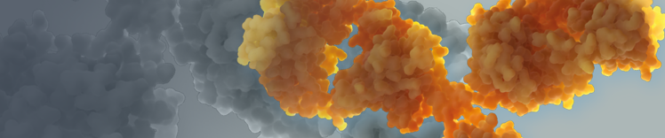 purina-istituto-colore