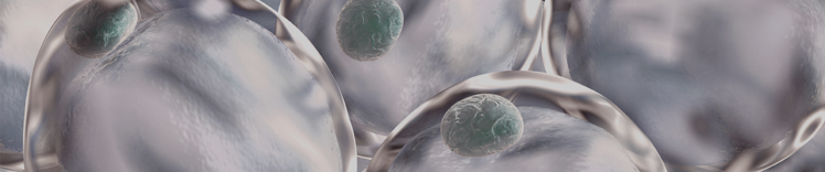 Gestire un banner Peso sano