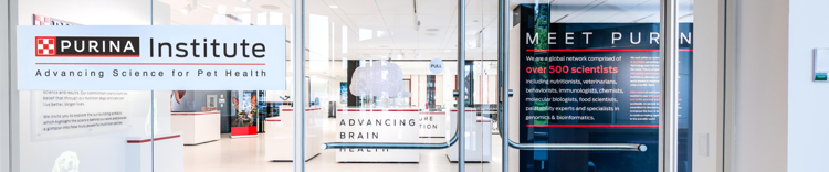 Eroe di esibizione virtuale