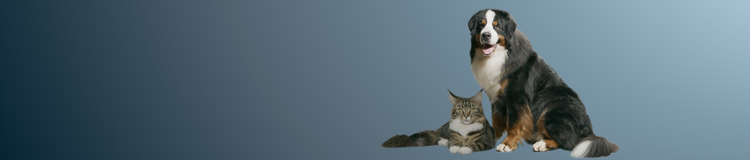 Ernährungswissenschaft