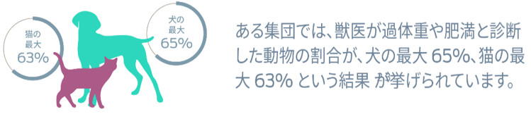 ある集団では、獣医が過体重や肥満と診断した動物の割合が、犬の最大 65%、猫の最大 63% という結果が挙げられています。脚注 2 および 3
