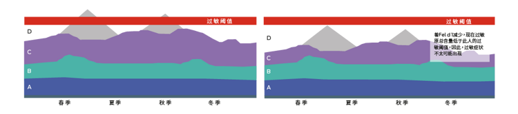 过敏原 过敏负担