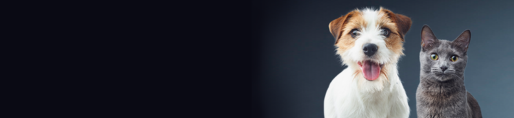 la ricerca di Purina