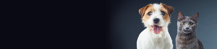 la ricerca di Purina