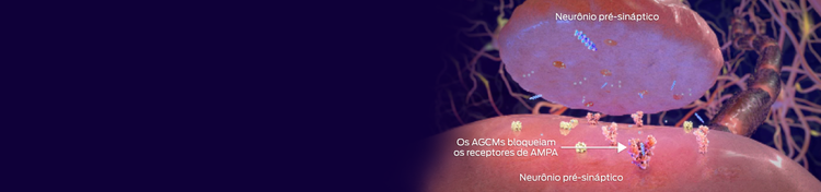 neurônio pré-sináptico, mcfas bloqueia o receptor ampa, neurônio pós-sináptico