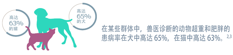 在某些宠物群体中,经兽医诊断的动物超重和肥胖症的患病率在犬中高达 65%,在猫中高达 63%。脚注 2 和 3