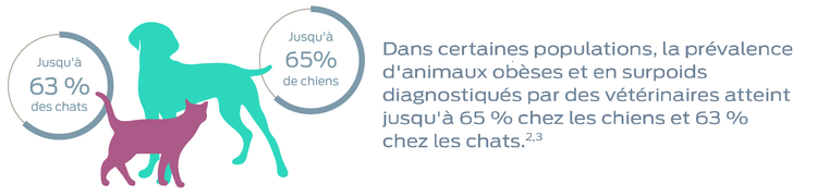 Chez certaines populations, la prévalence d'animaux obèses et en surpoids diagnostiqués par les vétérinaires atteint jusqu'à 65&% chez les chiens et jusqu'à 63% chez les chats. Notes de bas de page 2 et 3