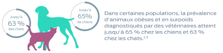 Chez certaines populations, la prévalence d'animaux obèses et en surpoids diagnostiqués par les vétérinaires atteint jusqu'à 65&% chez les chiens et jusqu'à 63% chez les chats. Notes de bas de page 2 et 3