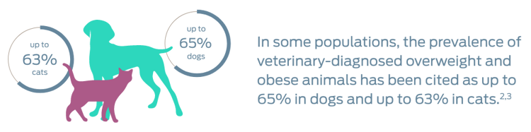In some populations, the prevalence of veterinary-diagnosed overweight and obese animals has been cited as up to 65% in dogs and up to 63% in cats. Footnotes 2 and 3