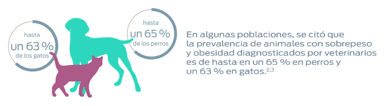 En algunas poblaciones, se ha citado que la prevalencia de animales con sobrepeso y obesidad diagnosticados por veterinarios es de hasta un 65% en perros y de hasta un 63% en gatos. Notas al pie 2 y 3