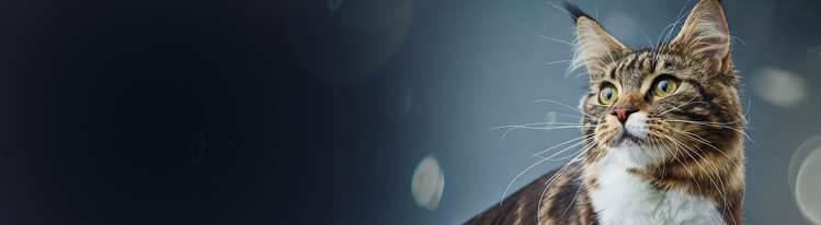 purina-institute-purina-research