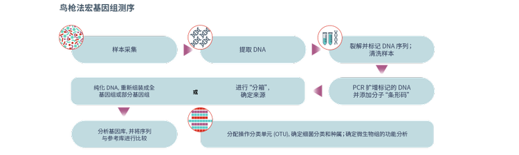 鸟枪法宏基因组测序