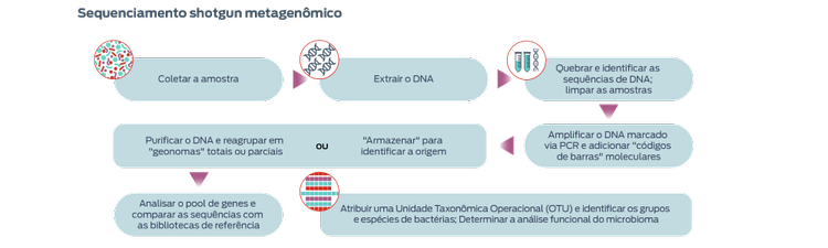 metagenômica de espingarda