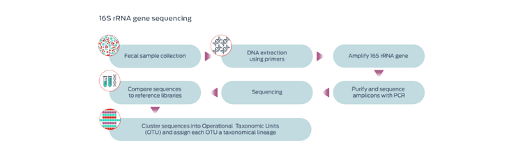 16s rRNA gene sequencing