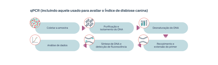 qpcr_v3