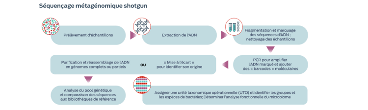 métgénomique de fusil de chasse