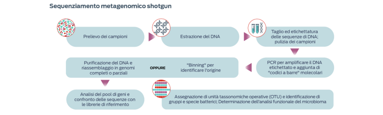 Sequenziamento metagenomico shotgun
