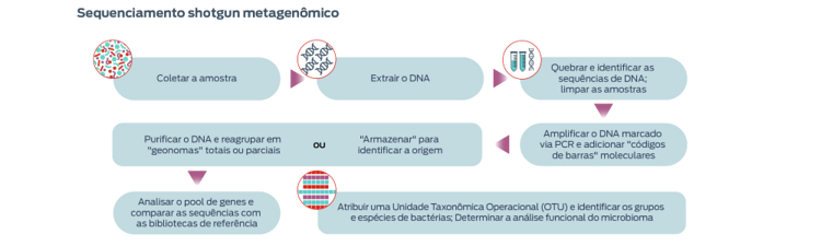 metagenômica de espingarda