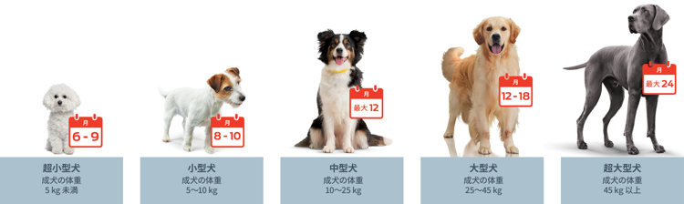 Puppy-Growth-Chart