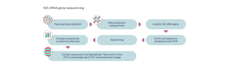 16s rRNA gene sequencing