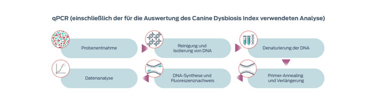 qPCR (including that used for evaluating the Canine Dysbiosis Index) graphic