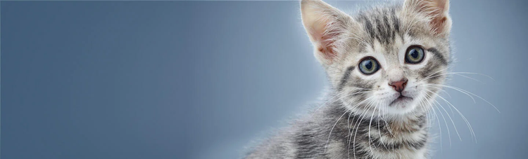 purina-istituto-nrm-banner