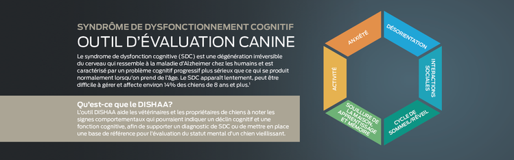 outil d'évaluation canine