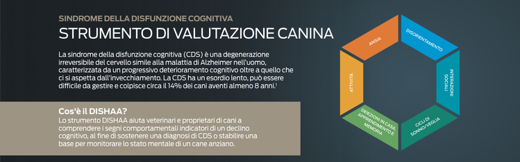 strumento di valutazione canina