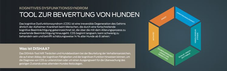 Hunde-Beurteilungstool