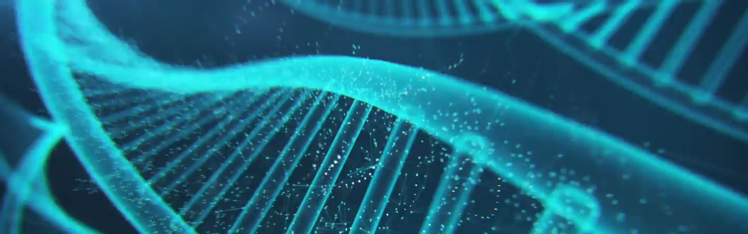 分子栄養学の探求