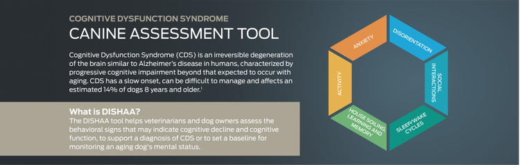 canine-assessment-tool