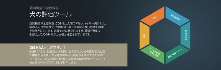 犬の評価ツール