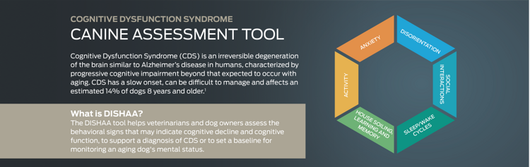 canine-assessment-tool