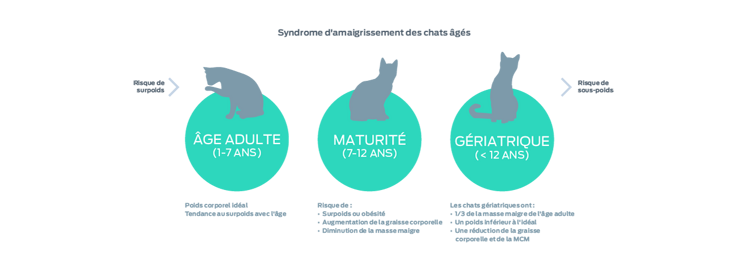 graphique du syndrome du vieux chat maigre