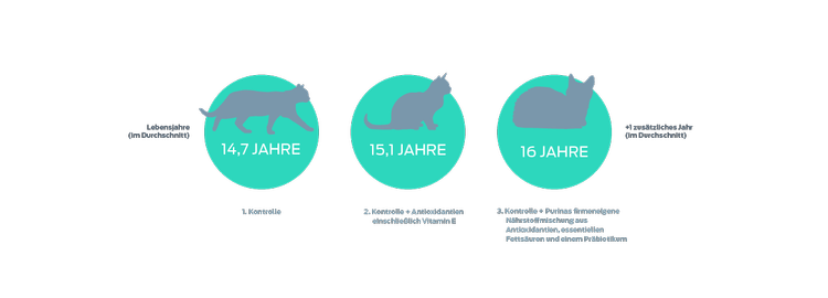 Grafik: Lebensjahre der Katze