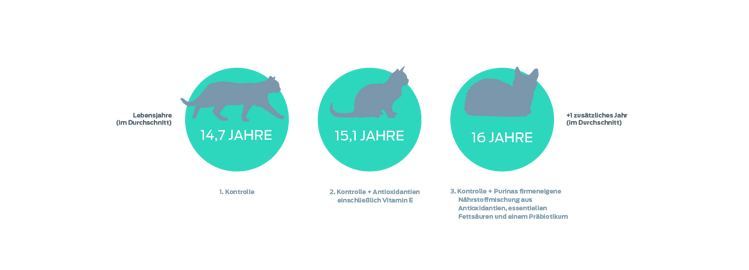 Grafik: Lebensjahre der Katze