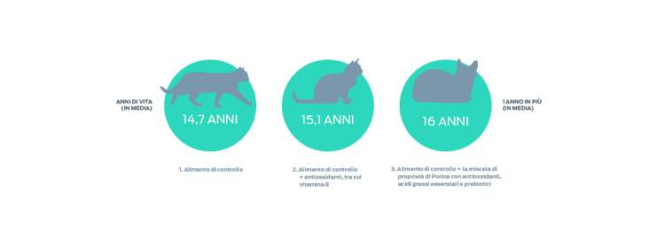 grafico anni di vita dei gatti