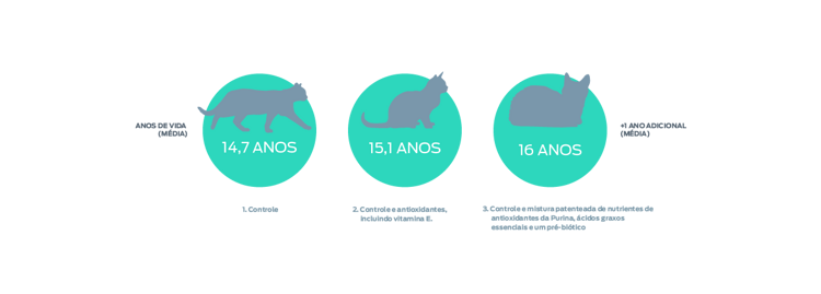 gráfico de anos de vida do gato
