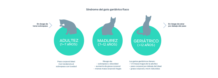gráfico del síndrome del gato geriátrico flaco