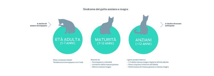 grafico della skinny old cat syndrome